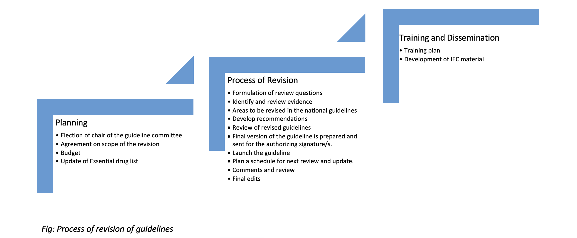 graphic of Process of revision of guidelines